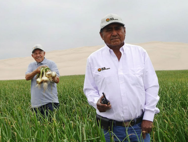 Generat1ed-Image-September-21,-2025---12_412AM