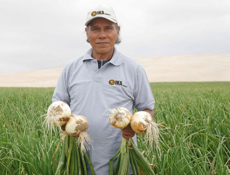 Generated-Image-September-2122,-2025---12_13AM